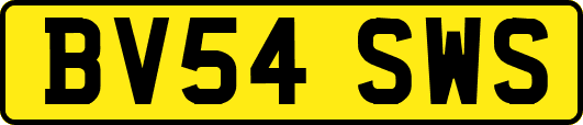 BV54SWS