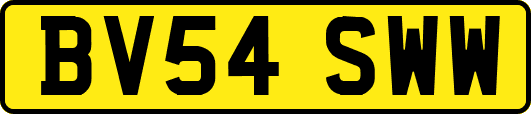 BV54SWW