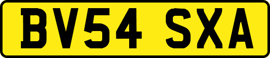BV54SXA