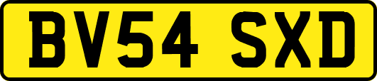BV54SXD