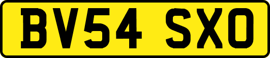 BV54SXO