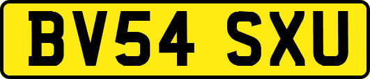 BV54SXU