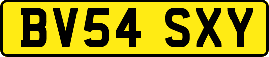 BV54SXY