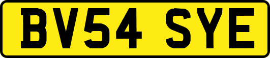 BV54SYE