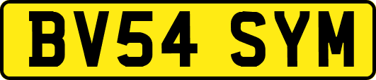 BV54SYM