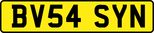 BV54SYN