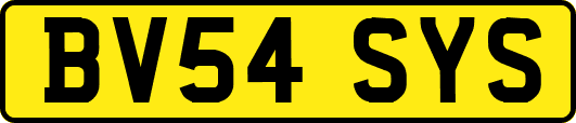 BV54SYS