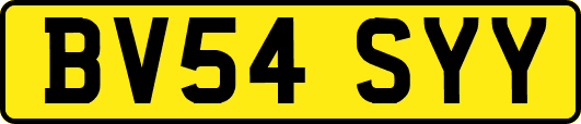 BV54SYY