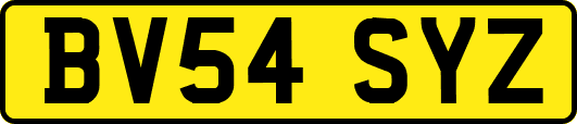 BV54SYZ