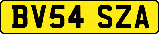 BV54SZA
