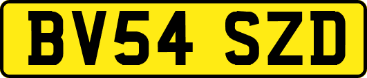 BV54SZD