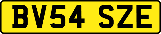 BV54SZE