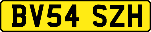 BV54SZH