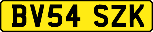 BV54SZK