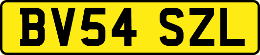 BV54SZL