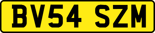 BV54SZM