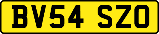 BV54SZO