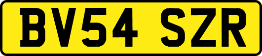 BV54SZR