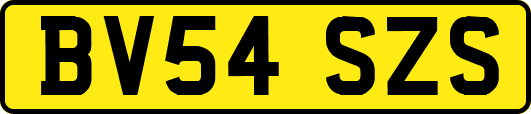 BV54SZS