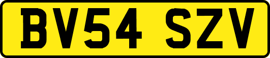 BV54SZV