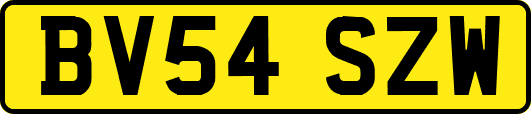 BV54SZW