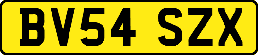 BV54SZX