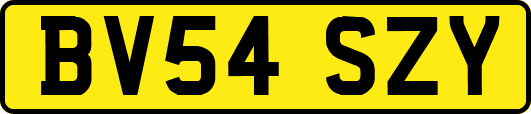 BV54SZY