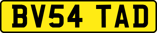 BV54TAD