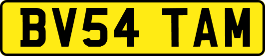 BV54TAM