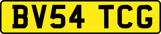 BV54TCG