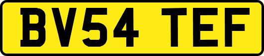 BV54TEF