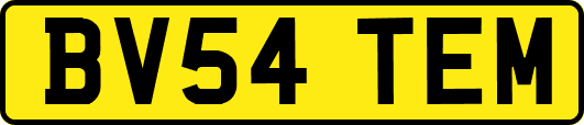 BV54TEM