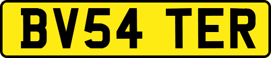BV54TER