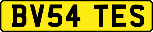 BV54TES