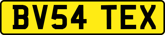 BV54TEX