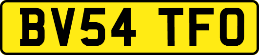 BV54TFO