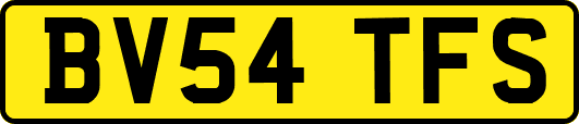 BV54TFS