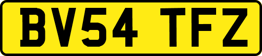 BV54TFZ