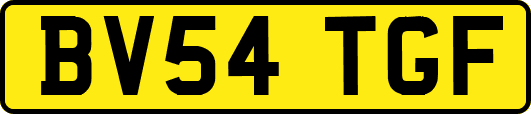 BV54TGF