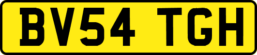 BV54TGH