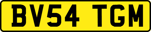 BV54TGM