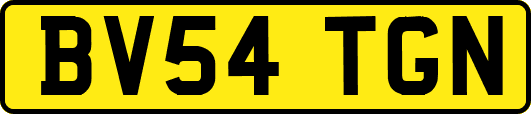 BV54TGN