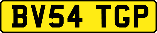 BV54TGP