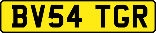 BV54TGR