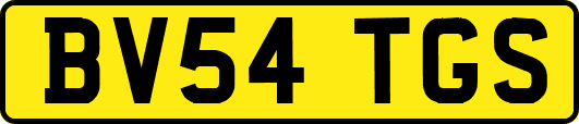 BV54TGS