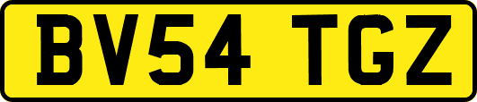 BV54TGZ