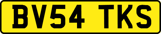 BV54TKS