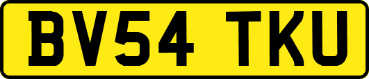BV54TKU