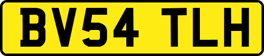BV54TLH