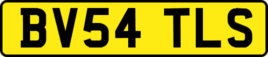 BV54TLS